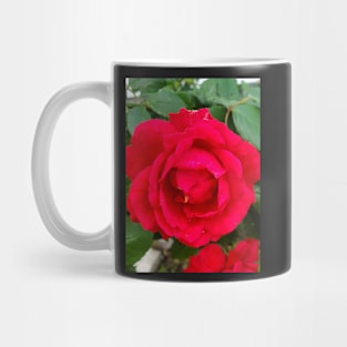 Rose Mug